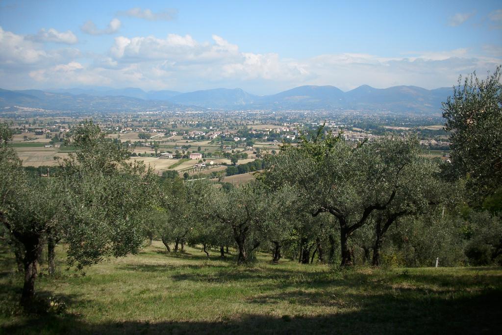 B&B Il Grotto Bevagna Exteriér fotografie