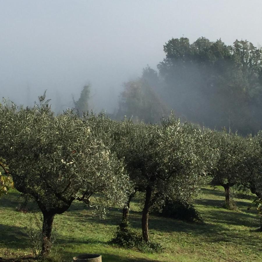 B&B Il Grotto Bevagna Exteriér fotografie
